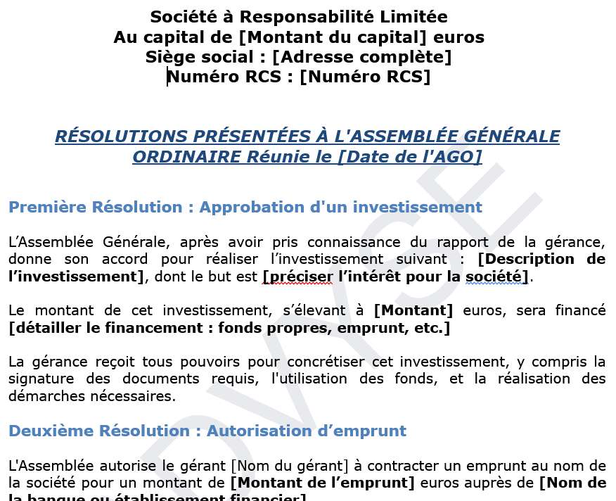 Projet et résolutions AGO pour SARL - Formalisation et conformité