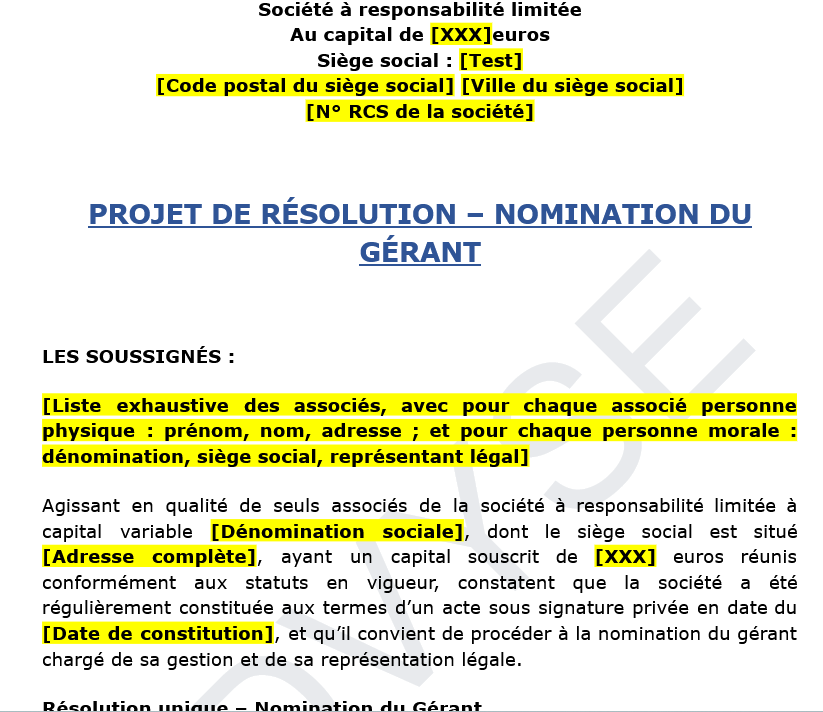Nomination du gérant d’une SARL : modèle juridique