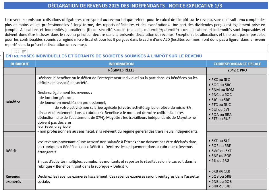 notice explicative de la déclaration commune de revenu tns