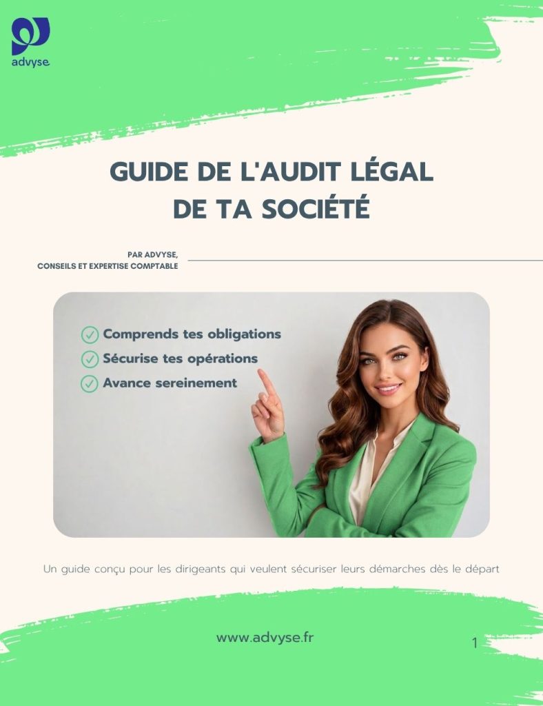 guide audit légal société
